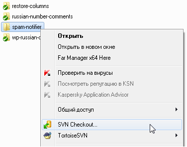 Меню SVN Checkout...