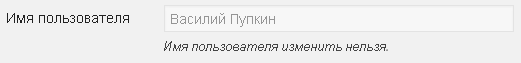 Русское имя пользователя