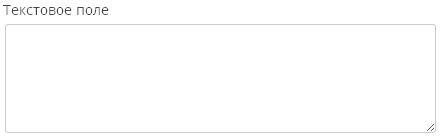 Тэг Текстовое поле