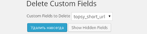 Delete Custom Fields