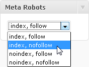 WordPress Meta Robots